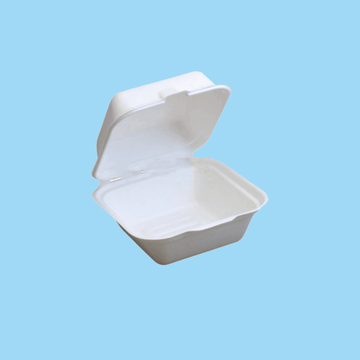 Styrofoam Burger